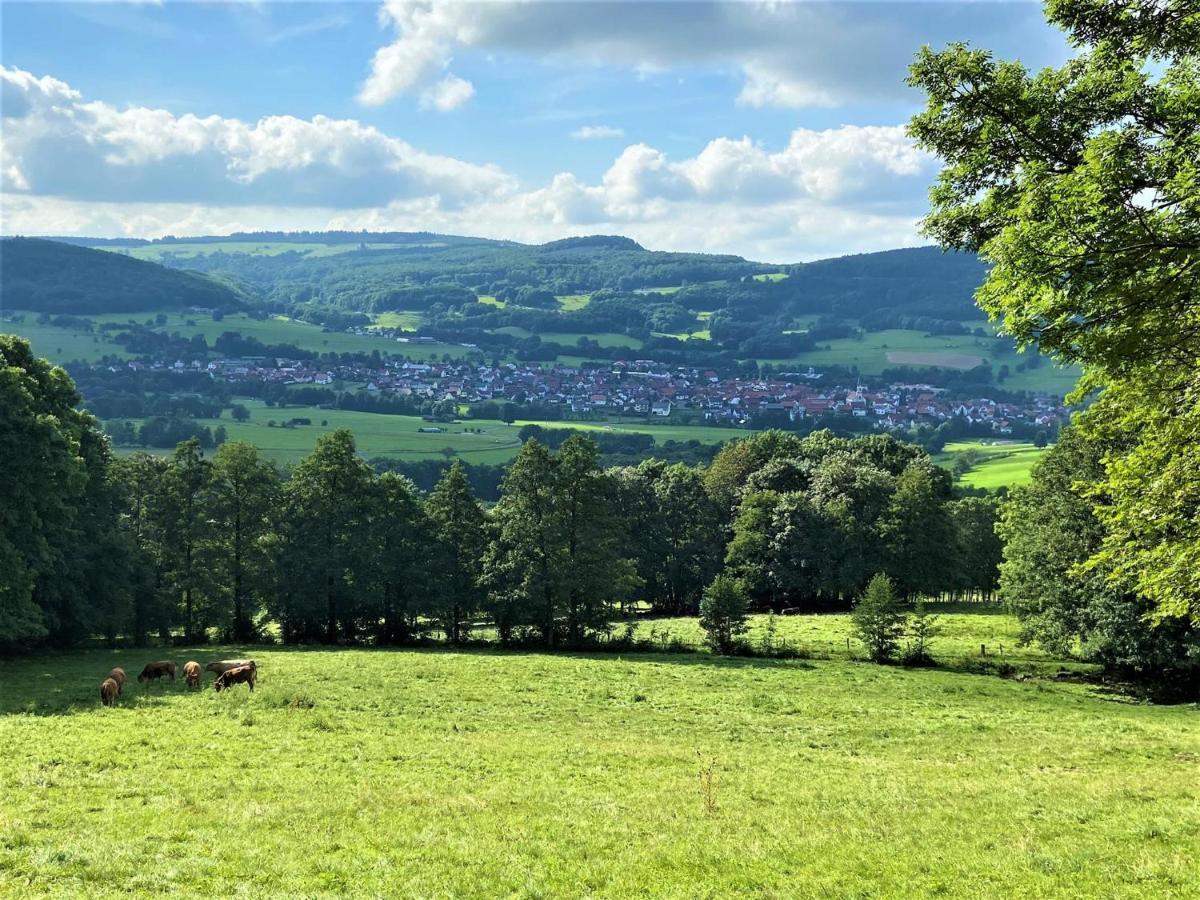 Ferienwohnung Natur-Pur Ehrenberg (Hessen) Exterior foto